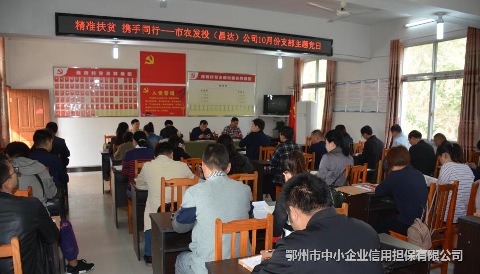 同行”支部主题党日暨重阳扶贫走访活动