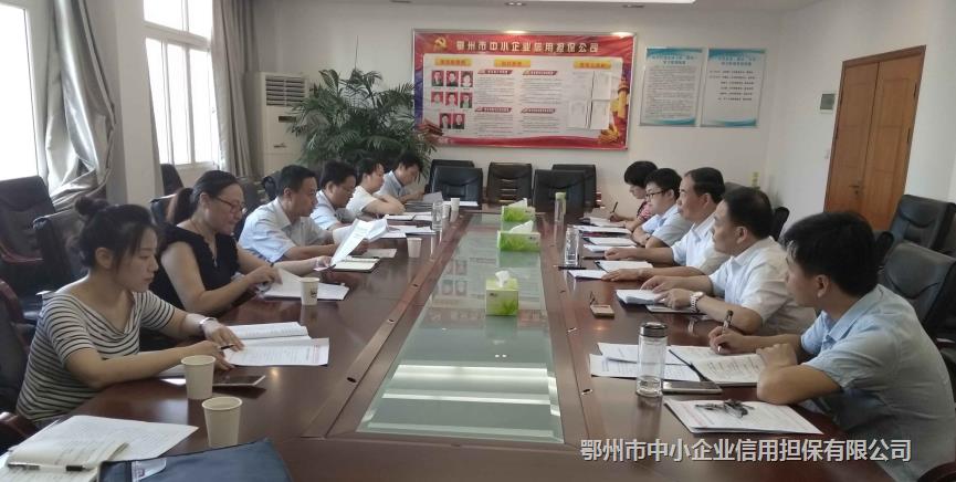 市融资担保行业风险工作专班到市担保公司调研