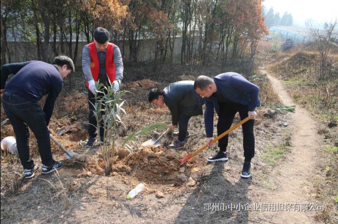 用双手营造绿色环境 用汗水创建文明家园