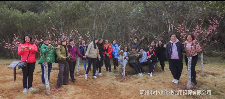市中小企业担保公司开展庆“三八”妇女节登山活动