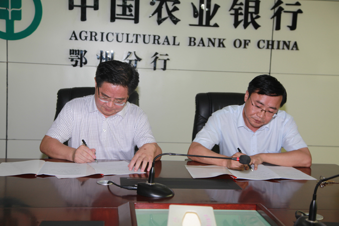 市中小企业担保公司与市农业银行签订合作协议